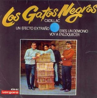 20081219002230-gatosnegros.jpg