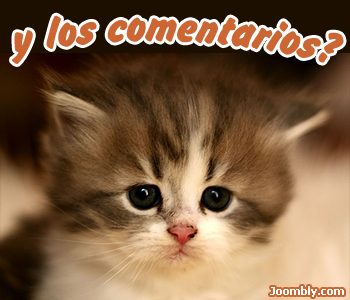 20090123140001-y-los-comentarios-01.jpg